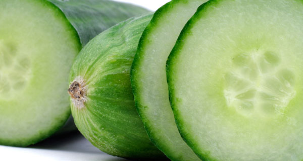 Image result for seedless cucumber pic
