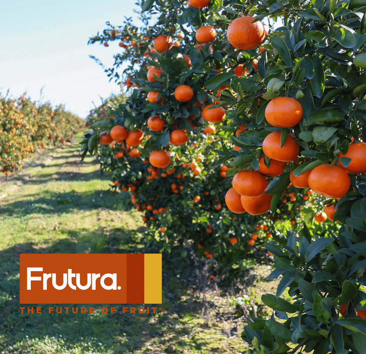 Proudly Part of Frutura