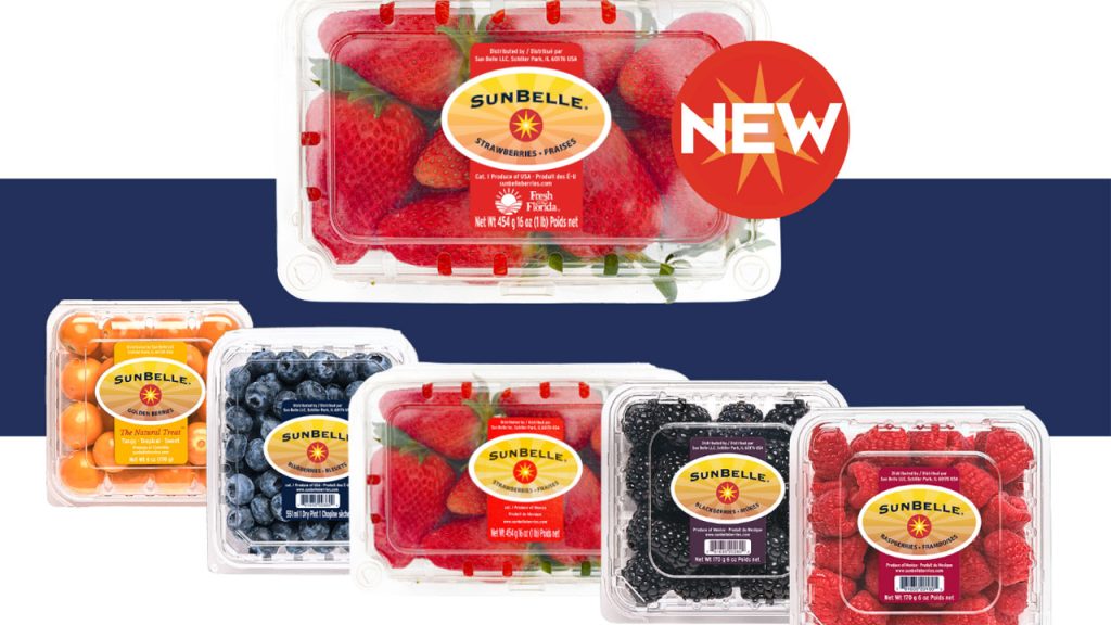 Sun Belle Expands Strawberry Program with New Central Florida Winter Crop