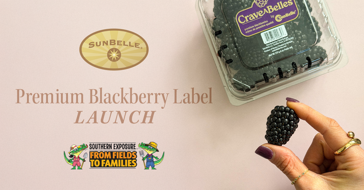 Sun Belle Launches Premium Blackberry Label – Craveabelles™
