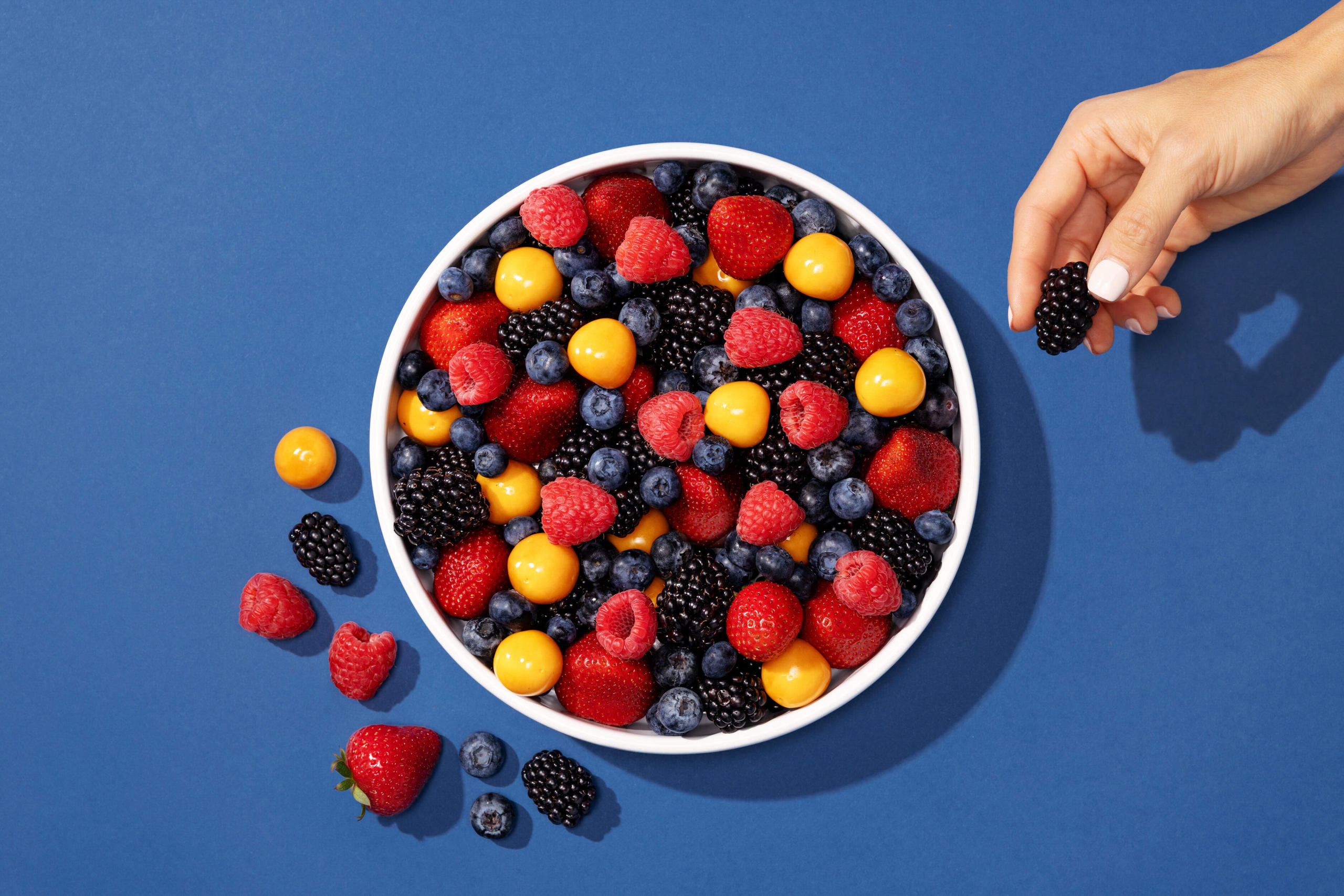 Sun Belle Unveils Dynamic Brand Refresh