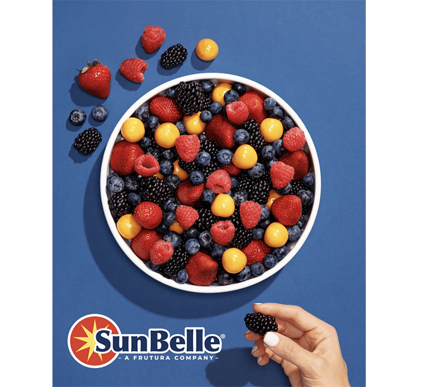 Sun Belle Launches Updated Brand Identity